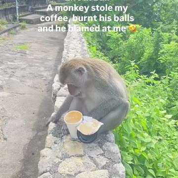 Future lawsuit incoming 😂