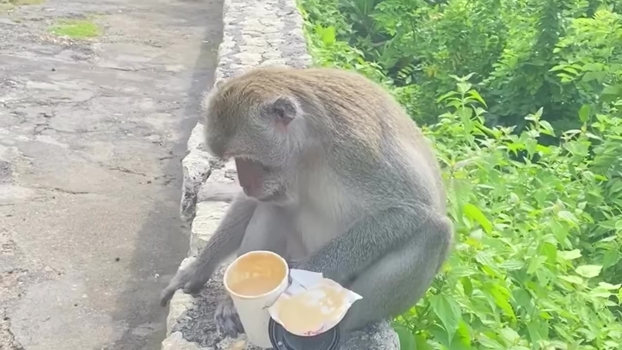 Future lawsuit incoming 😂