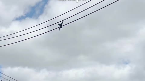 😱🏙️ Just Another Day in the Concrete Jungle! | FunFM