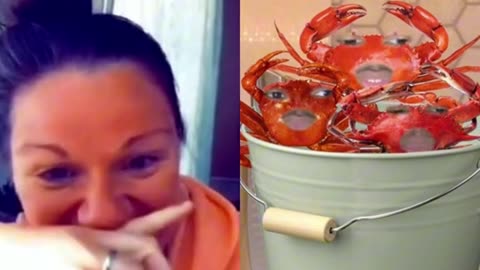 When yall boil them crabs