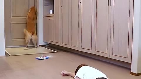 Story of a Dog and the blind lady!