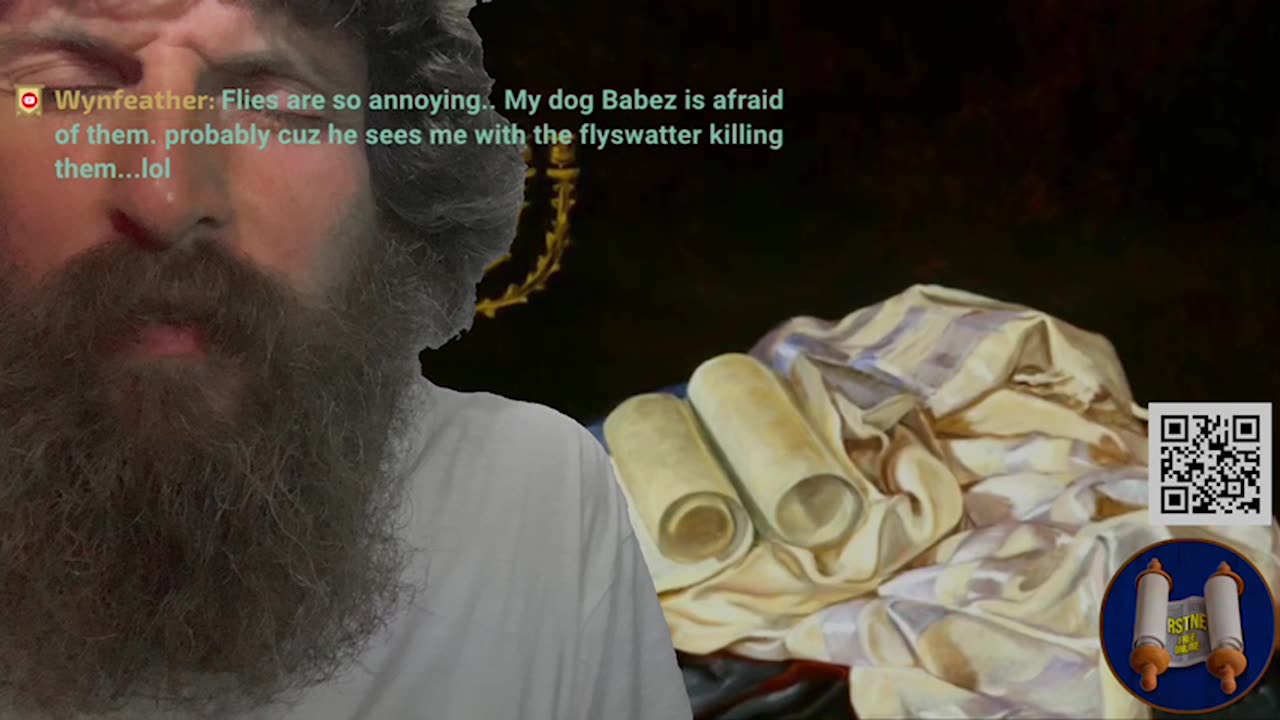 Acts 19; RSTNE Scripture Reading (Day 198) Bible on Audio; 19 to NW