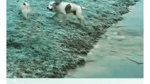 Never Give UP!