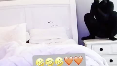 Funny video prank