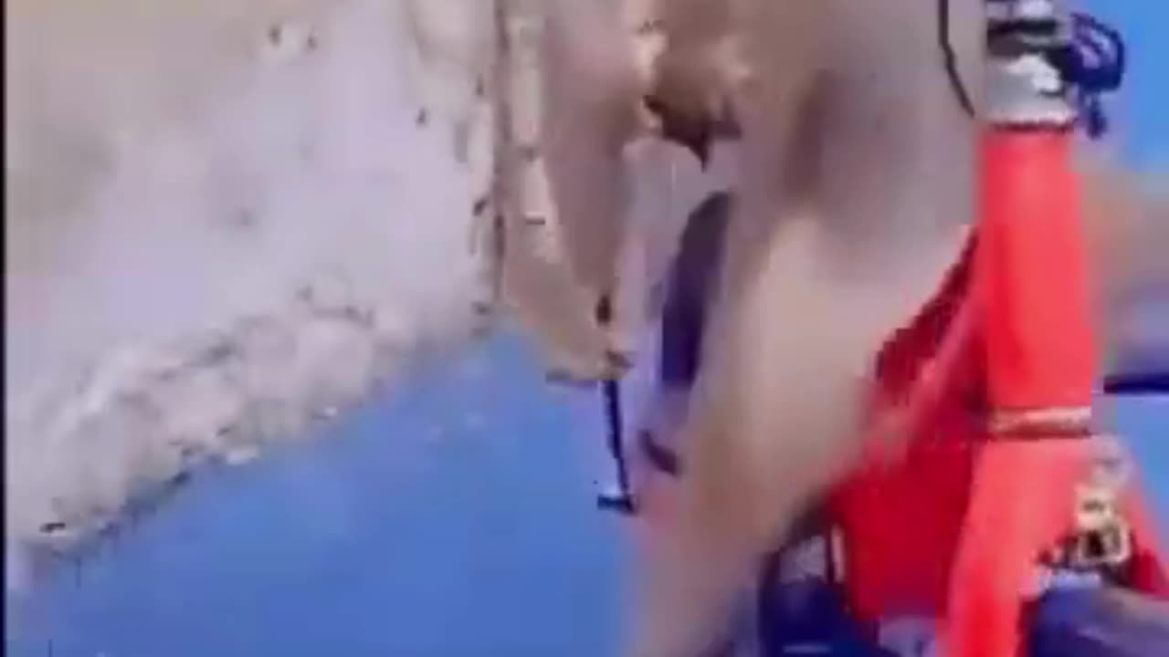 💋 Good Morning, Expert Biker