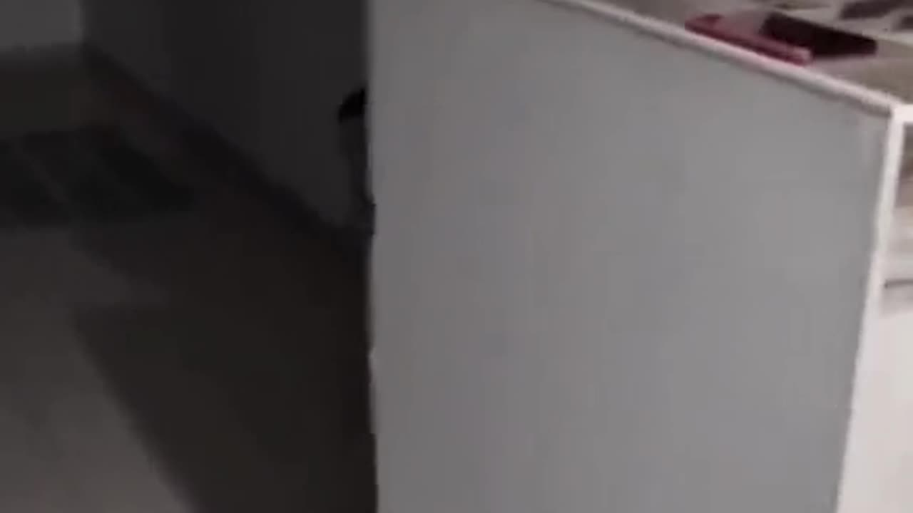 😱👻 You Won't Believe What They Caught on Camera! Ouija Board, Jinn, Aliens, Poltergeist | TheHauntin