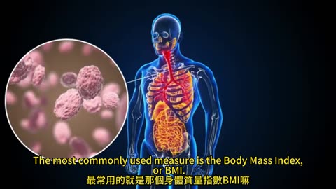 肥胖與生育 體重管理助孕