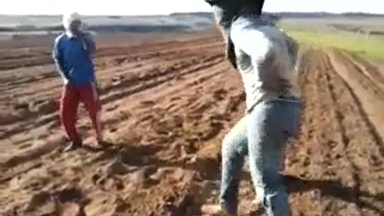 Hoje é sexta-feira!