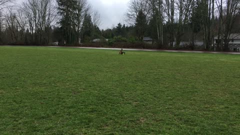 hoop chase 239840392843243222