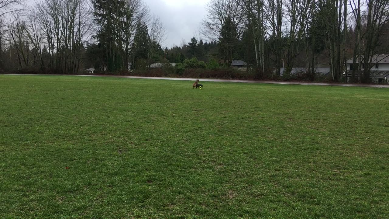 hoop chase 239840392843243222