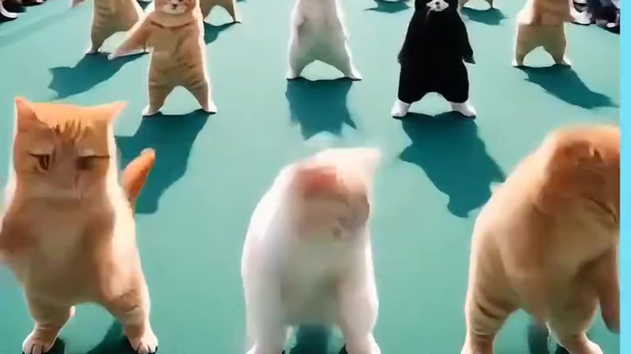 Cats Dance ।। Comedy।।#shorts #shortfeeds #rumbleshorts #viral #trending