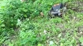 AI Mower