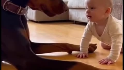 Cute Baby Playing with Adorable Animals 🐶🐱 | Heartwarming Moments You’ll Love