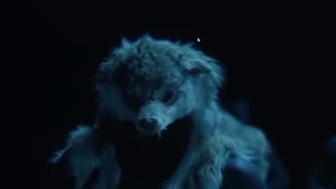 YE HEIL HITLER HH (OFFICIAL VIDEO)