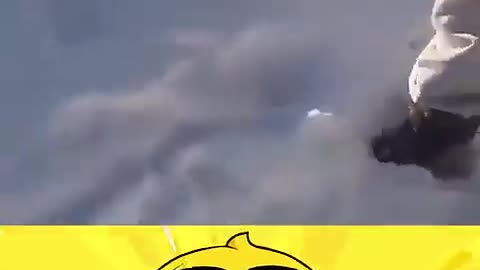 jogou seu cachorro fora do avião
