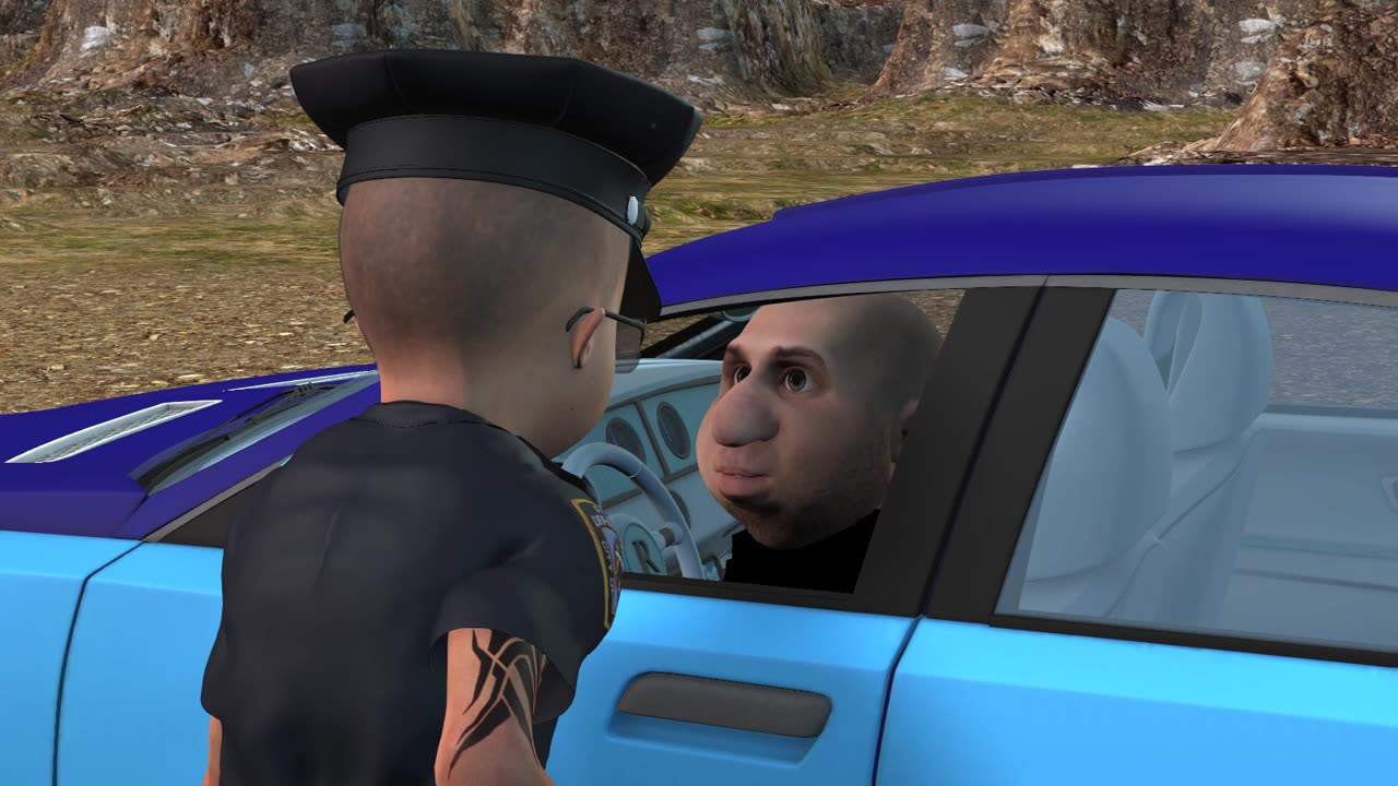 Do You Know why I Pulled You Over?