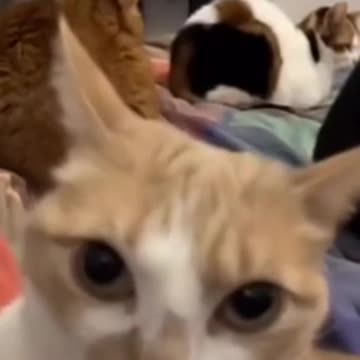 Wake up so that she can feed us 🤣