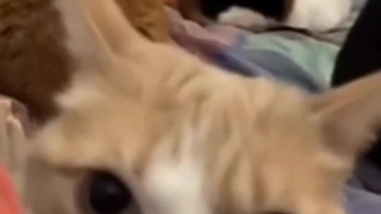 Wake up so that she can feed us 🤣