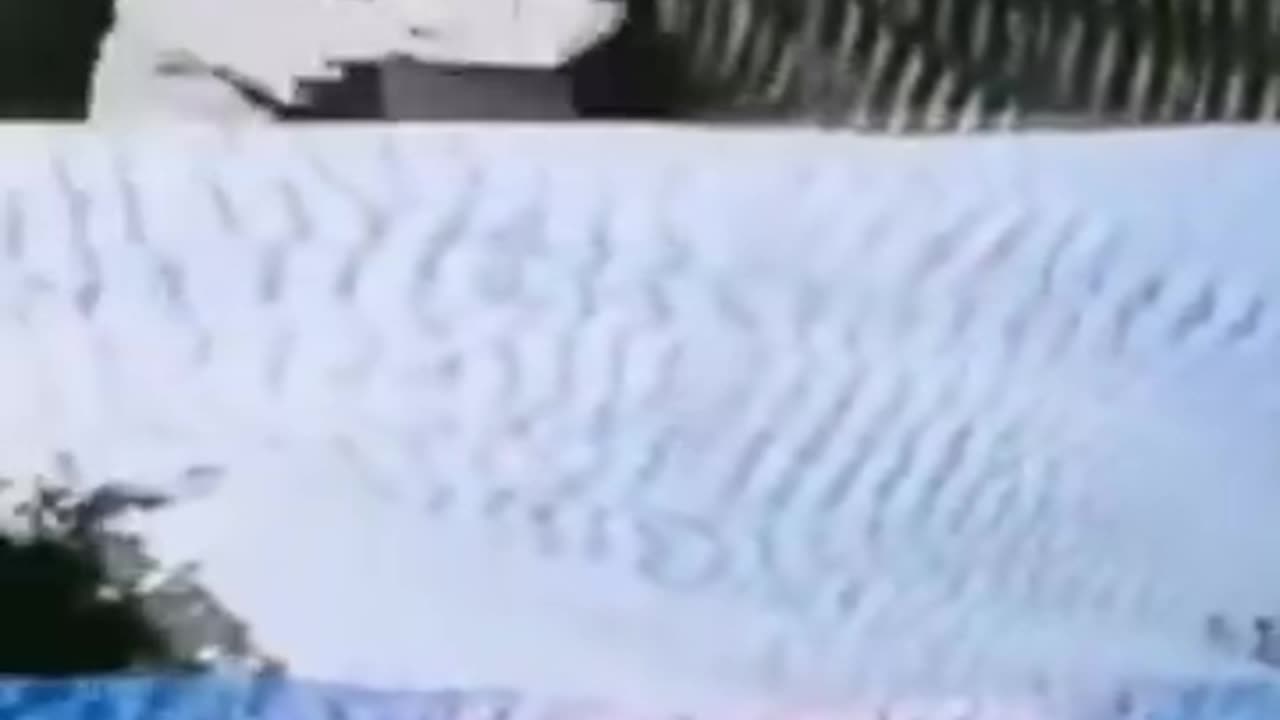 Literally Terraforming the Planet.