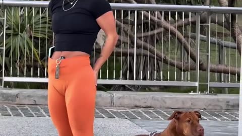 The dog saw me 😂