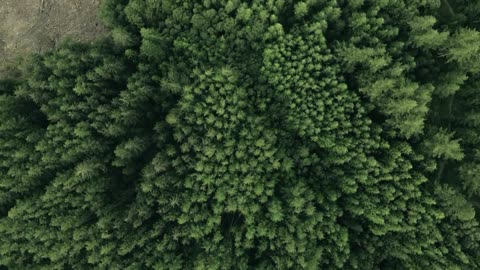 Gentle Rain Beats – Relaxing Lofi to Unwind