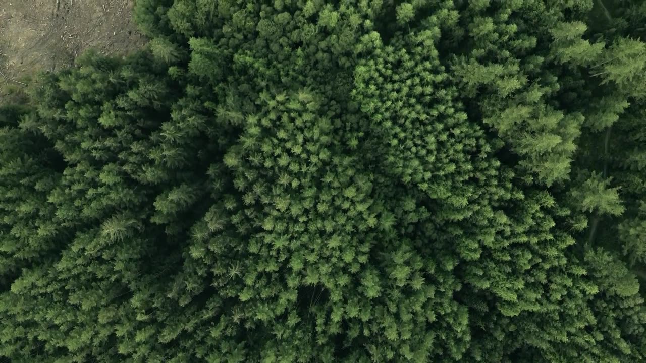 Gentle Rain Beats – Relaxing Lofi to Unwind