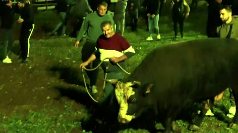 Finale Lake Šestanovac Paša od braće Bralić vs Bijeli od Stara Murva 2025