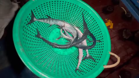 Netze und Wellen Muscheljagd in Südkorea #SüdkoreaAngeln #Muschelsuche #Hochseeabenteuer