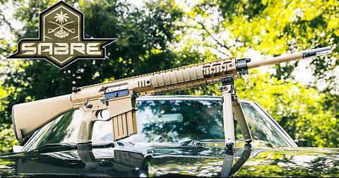 PSA Sabre AR10 308