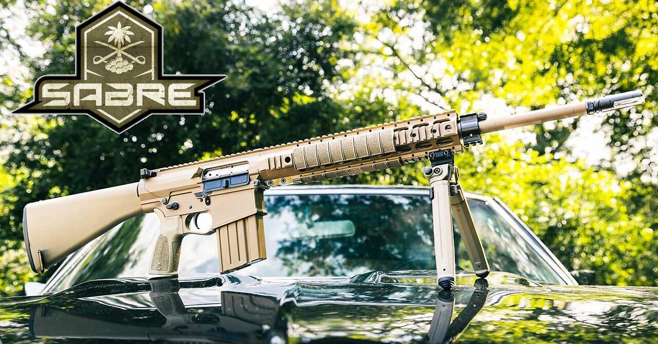 PSA Sabre AR10 308