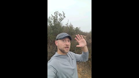 Astrology Live Week of Aug 3-9