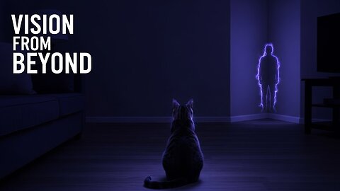 What Does Your Cat See in the Empty Room?