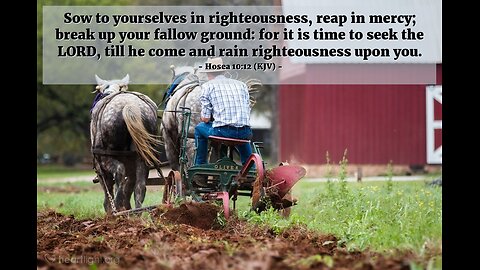 Break your fallow ground and be productive for Christ