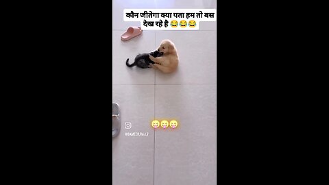 Kon जितेगा