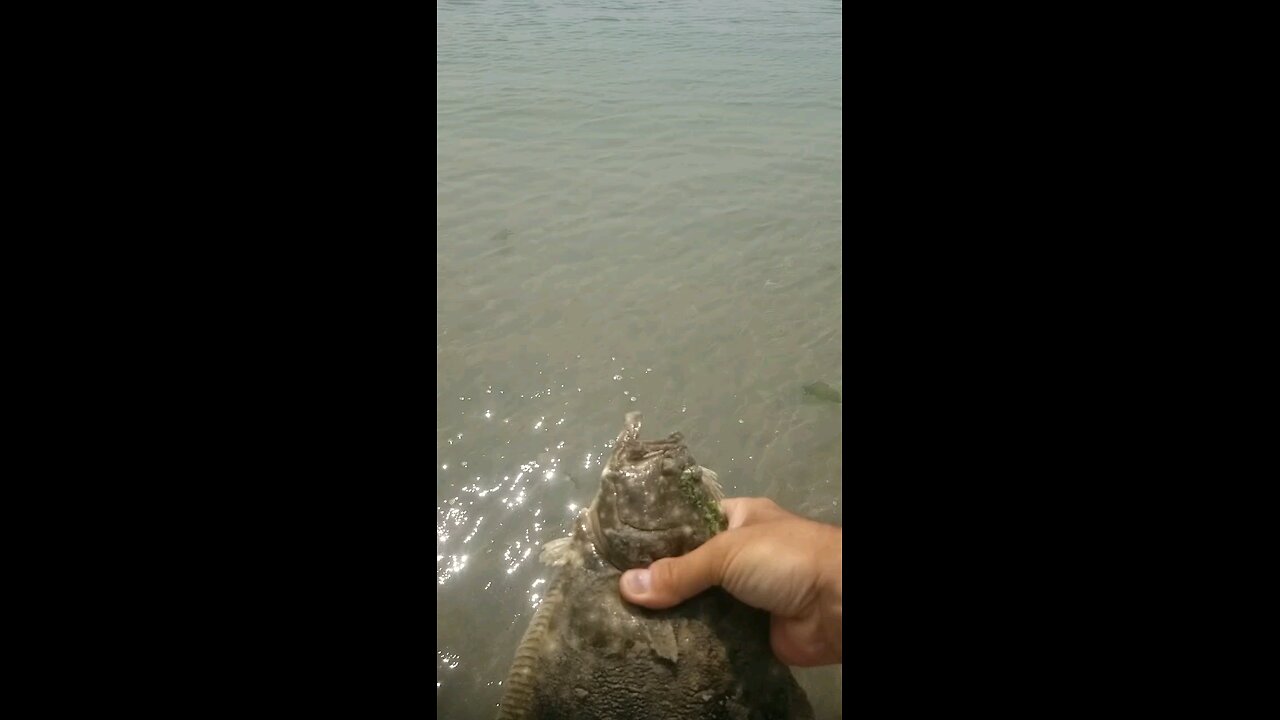 Upside Down release....