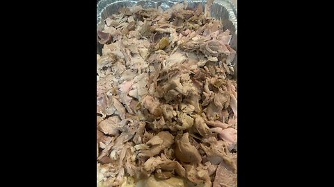 Turkey Roast for your Dogs, Cats or People Family
