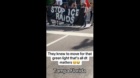 ICE protesters in Tampa, Florida rush out of the street when the green light comes on..