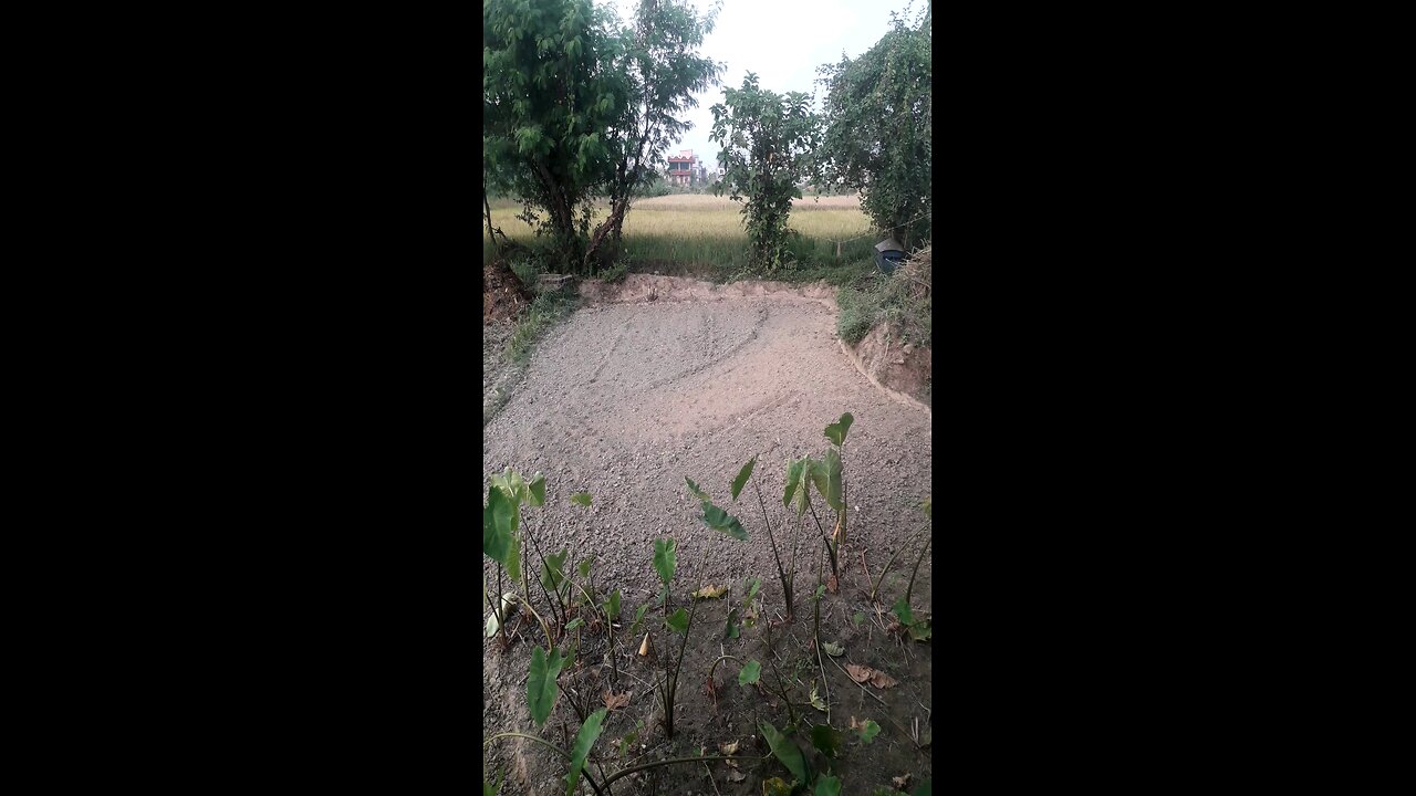 Outside Nature🥰