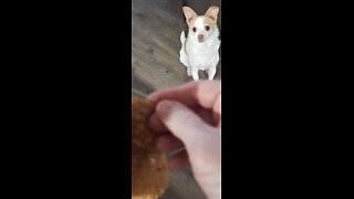 What are you DOING???