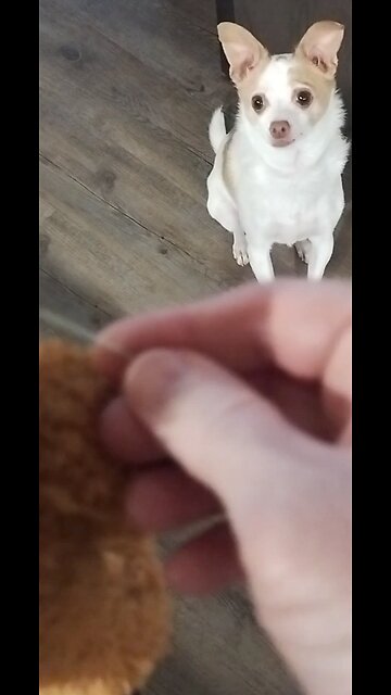 What are you DOING???