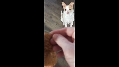 What are you DOING???