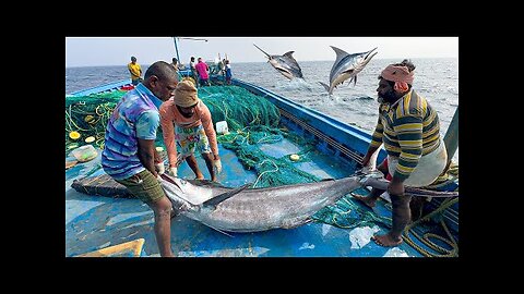 Great - The Tenth Day We Stayed in The Deep Sea And Cavght A Lot of Big Fishes /Day- 10