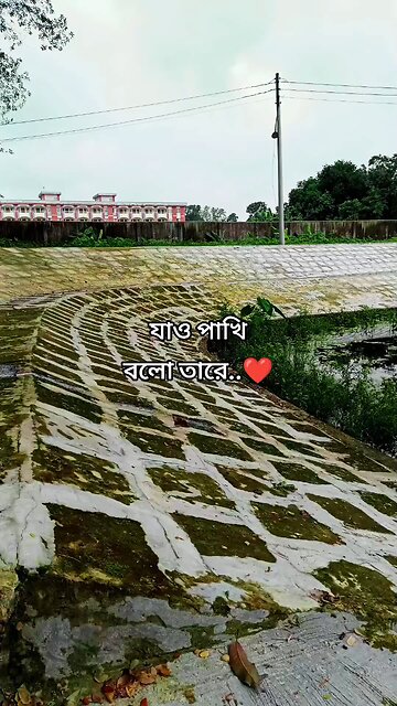 যাও পাখি বলো তারে..❤️