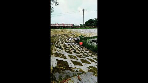 যাও পাখি বলো তারে..❤️