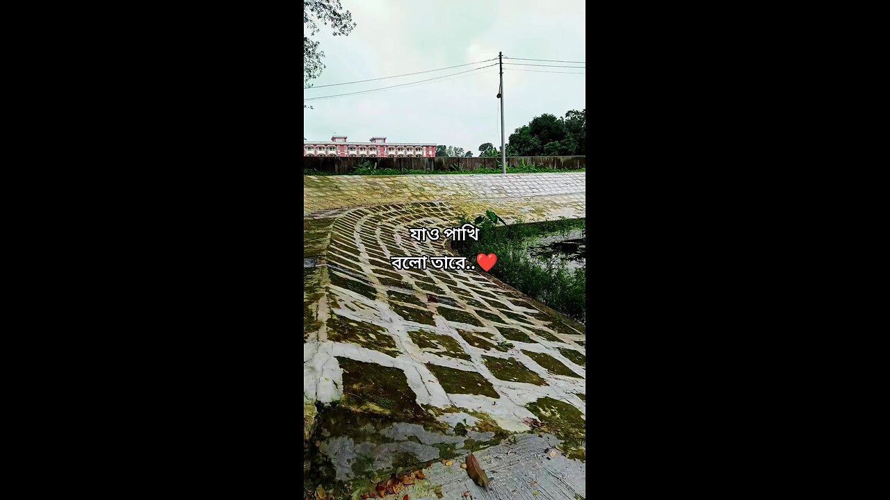 যাও পাখি বলো তারে..❤️