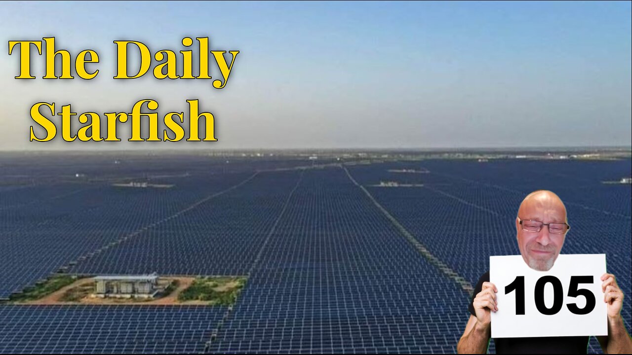 The Daily Starfish #105 #2025 #news