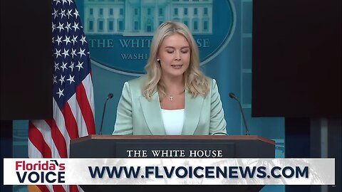 Karoline Leavitt just SCOLDED the press right totheir facesfor ignoring the murder of Iryna Zarutska