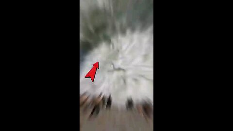 5-Most deadliest sea 🌊