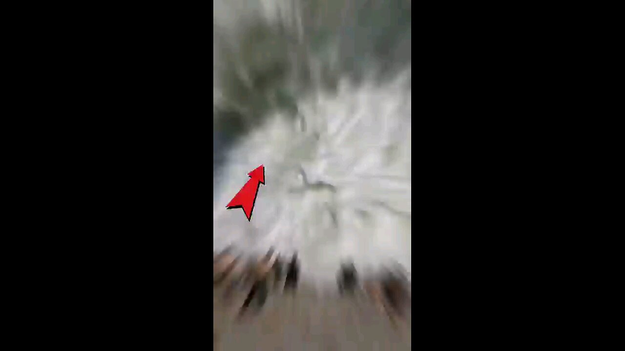 5-Most deadliest sea 🌊