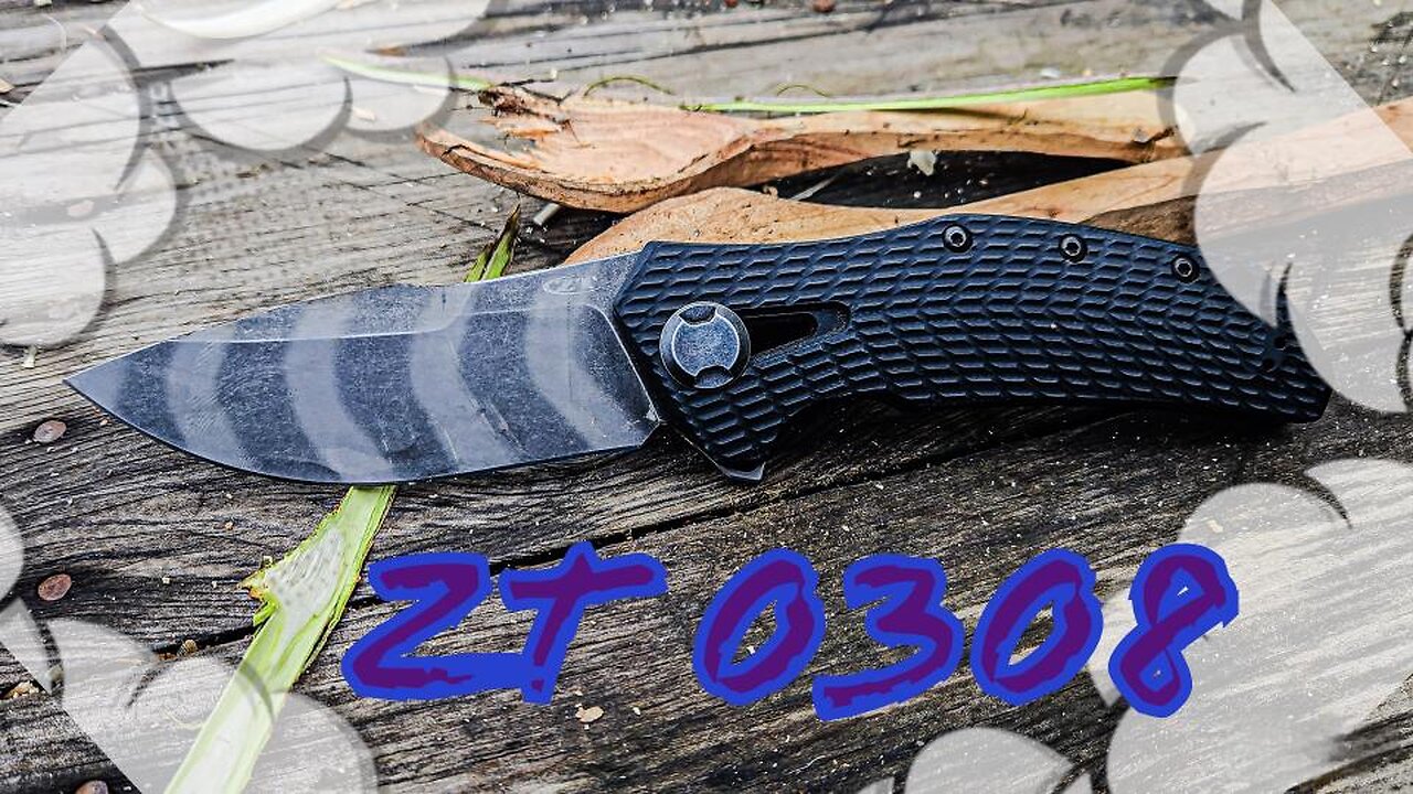 ZT0308 performance review
